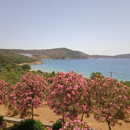 Skoutari Beach Hotel エクステリア 写真