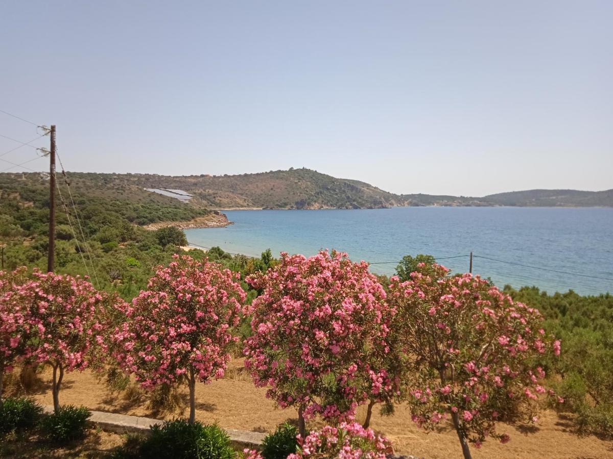 Skoutari Beach Hotel エクステリア 写真