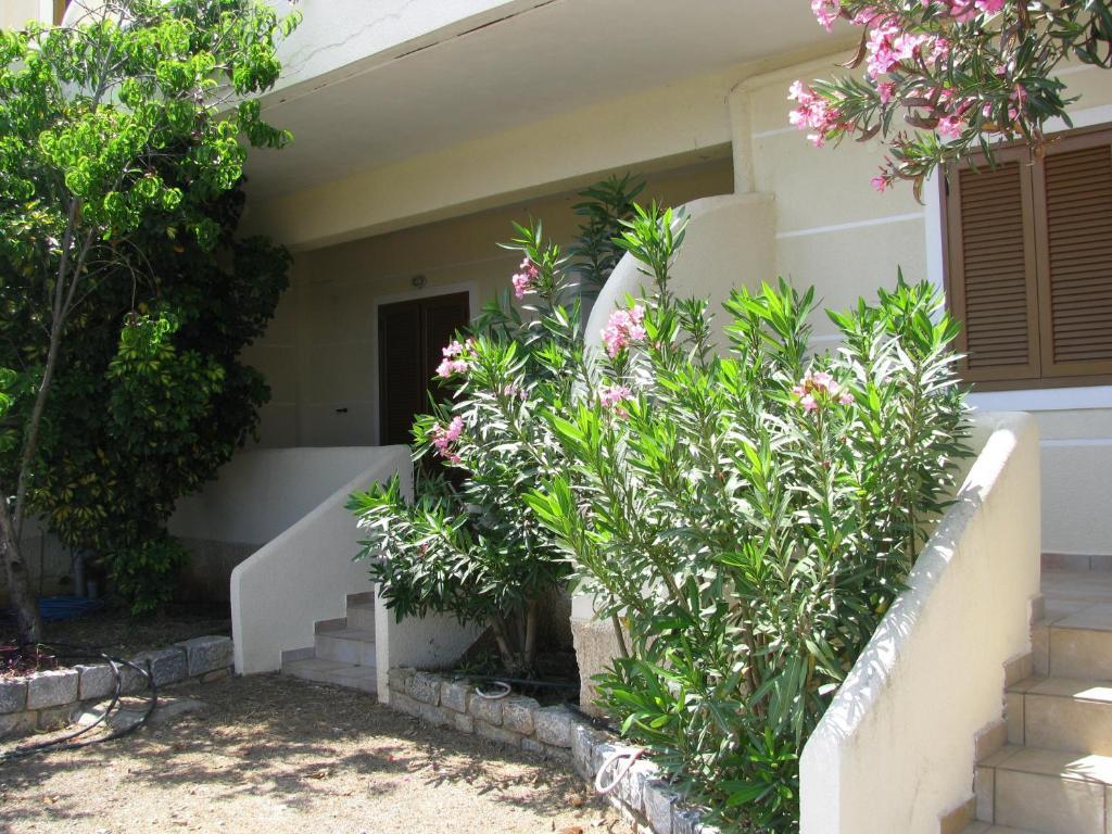 Skoutari Beach Hotel 部屋 写真