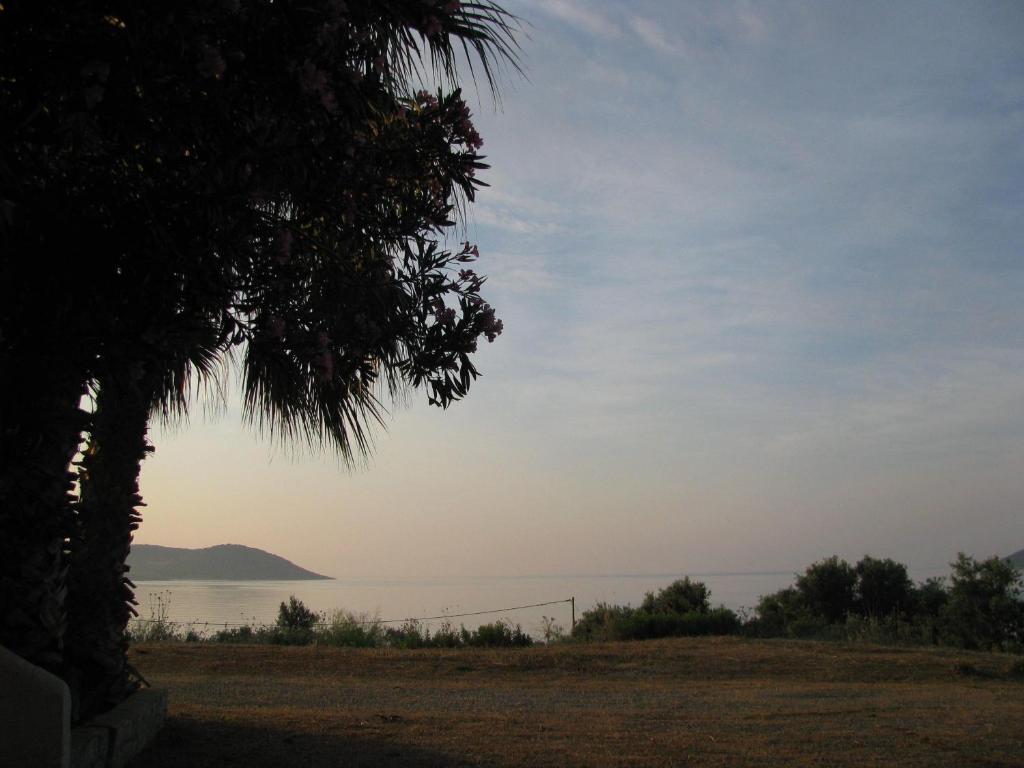 Skoutari Beach Hotel エクステリア 写真